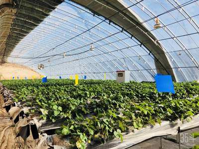 联点数据:从高附加值农作物切入,为4000亿市场提供标准化种植服务