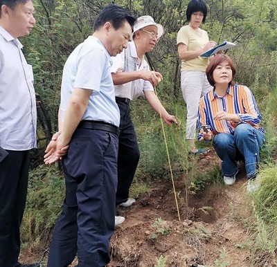 山西省种苗总站赴关帝林局进行种苗质量抽查和生产经营许可事项“双随机”执法检查工作