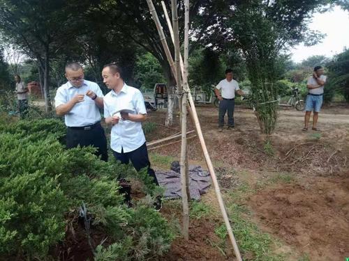 沂水县行政审批服务局三举措助推林木种子生产经营许可办理再提速