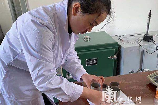 鹤北林业局林木种子管理站职工精选红松种子.