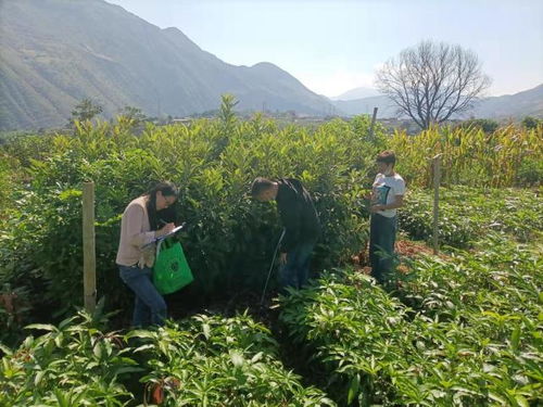 隆阳区林草局两个到位 规范全区林草种子苗木市场秩序