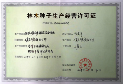 2018红梅小苗基地价格