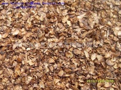 新紫薇种子是什么价格?