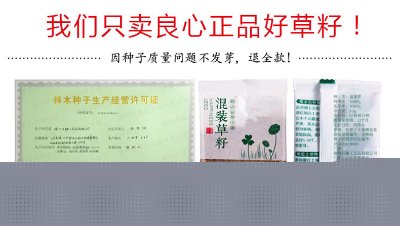 草籽种子吸水石上水石假山盆景造景装饰小叶恋石大叶恋石混装批发