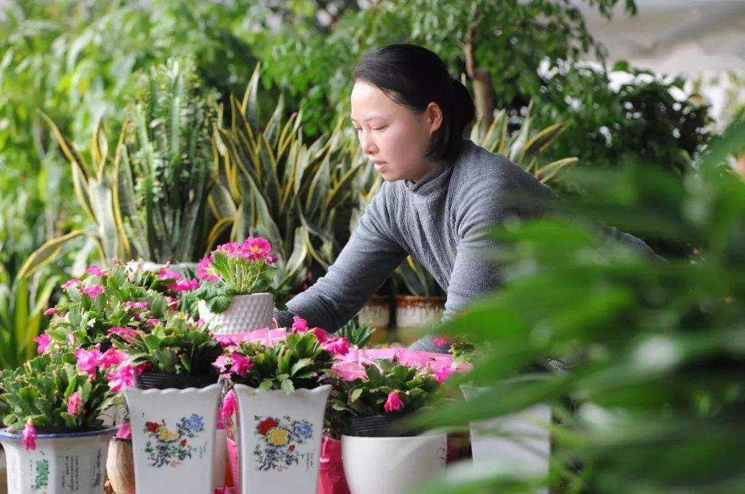 园艺师证书大用处,拿林木种子生产经营许可证必不可少