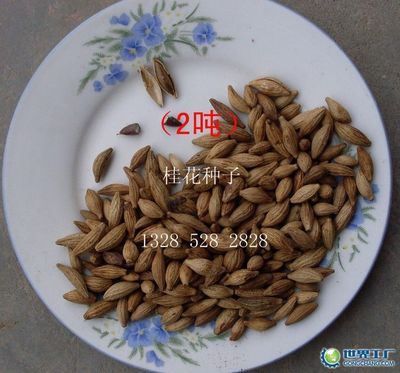 嵊州花木信息网销售部_世界工厂网全球企业库