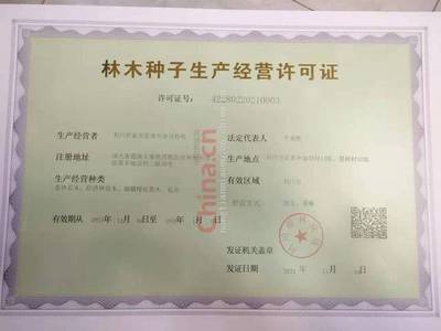 工程树苗丛生紫薇 农天苗木 西洋水杨梅 咨询