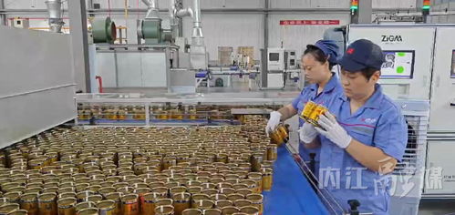 香港昇兴 内江 西南高端食品饮料包装生产基地项目进入试生产阶段