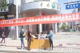 虎林市林业局开展新修订 种子法 宣传活动