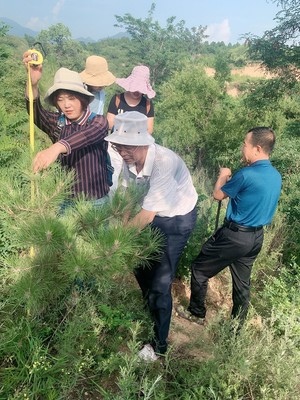 山西省种苗总站赴晋中市进行种苗质量抽查和生产经营许可事项“双随机”执法检查工作