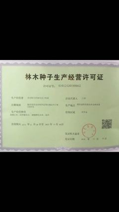 公司介绍