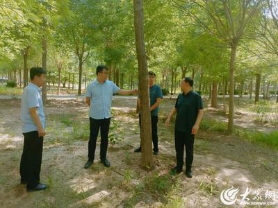 德州市自然资源局开展2024年林木种苗质量抽查工作