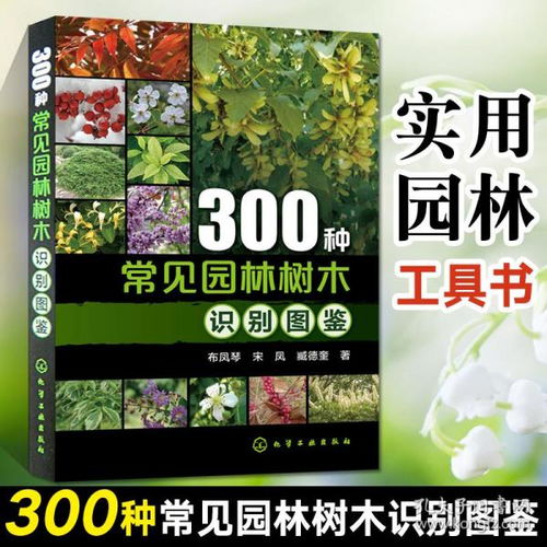 工程技术 百汇书城的书店 孔夫子旧书网