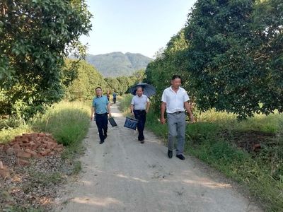 青阳县开展林草种子生产经营单位“双随机、一公开”抽查工作