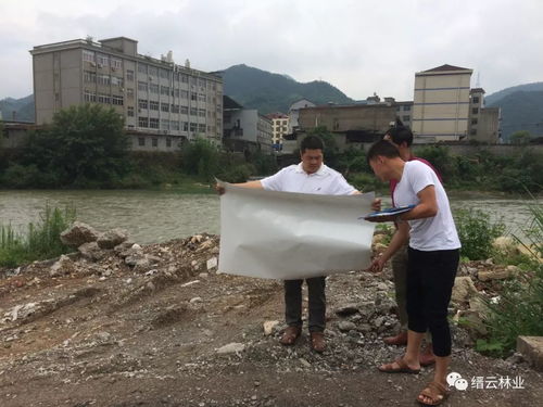 一周林业 看看我们都干了啥