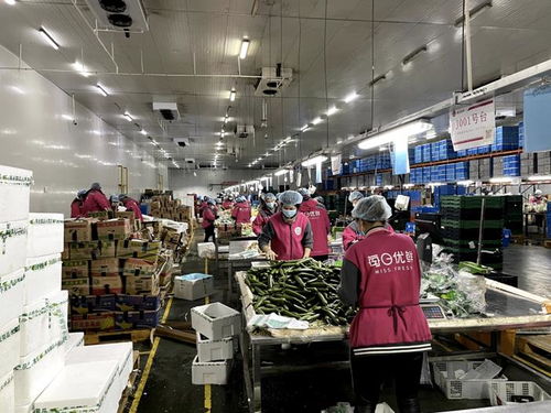 防疫情 稳经济,上海开启复工复产 加速度