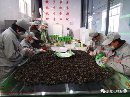 同心共筑梦 启航新征程