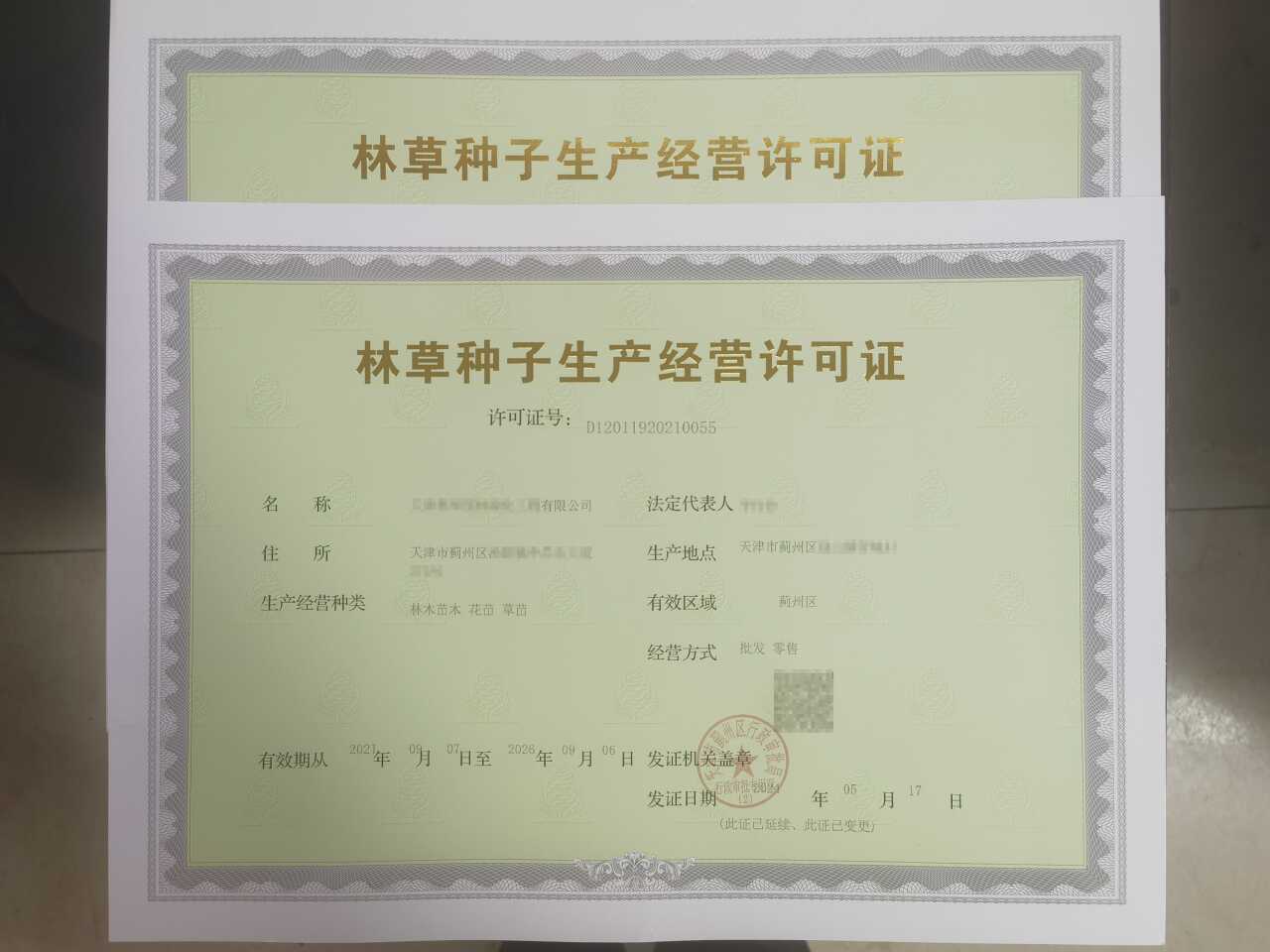 政务服务办深化林草种子生产经营许可审批