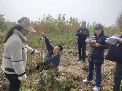 市林站开展林木种子生产经营许可证和苗木质量随机抽查工作
