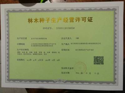 产地直销葡萄苗 当年葡萄苗 口感好 甜度高 阳光玫瑰葡萄苗
