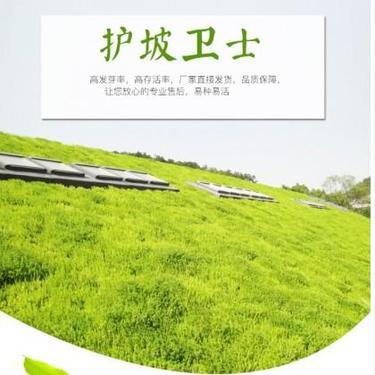 苗木生产许可证 林木种子生产经营许可证