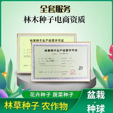 购买个体工商户营业执照