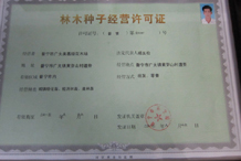 经营许可证-普宁市广太美嘉绿花木场 公司证件(普宁秋枫供应、普宁桃花心木价格、普宁黄槐批发)|金泉网