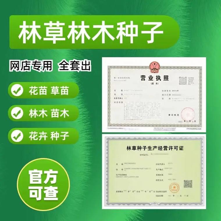 办理林木种子生产经营许可证全攻略