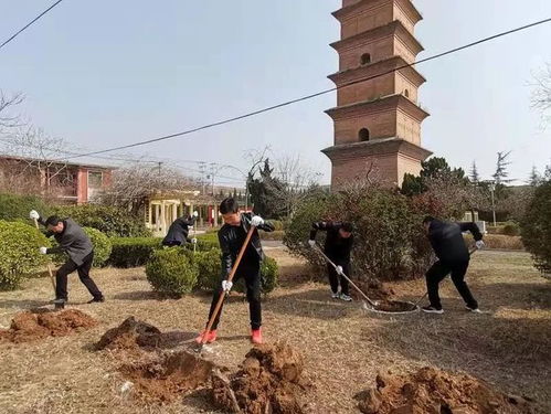 植树节来啦 蒲城县教育系统种绿护绿 树木树人
