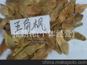 辛夷种子供应商,价格,辛夷种子批发市场 