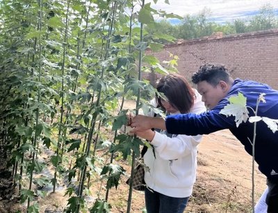 巴彦淖尔市林草局开展林草种苗“双随机、一公开”检查