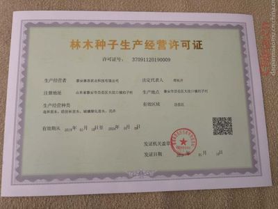 无刺花椒苗产量,花椒育苗基地,适合山地种植的花椒树