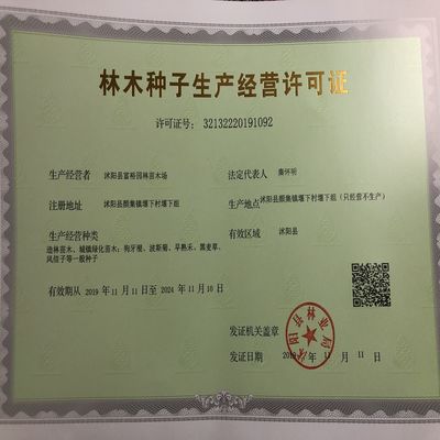 矿山复绿草绿化光叶紫花苕种毛苕子草籽绿肥种籽果园野豌豆草种子