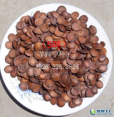 郑州邢源种苗_世界工厂网全球企业库