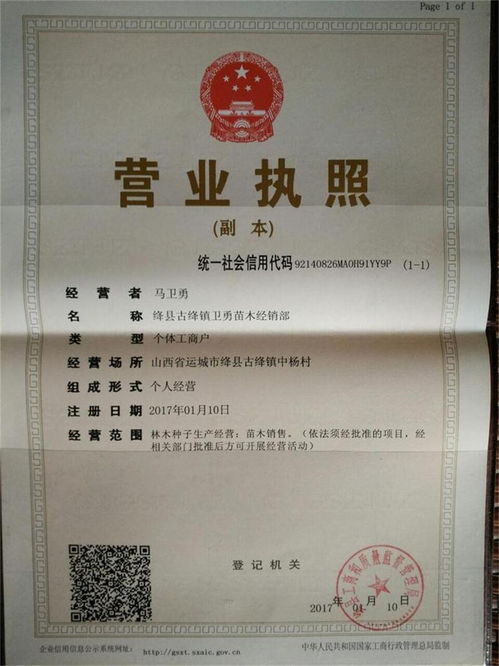 山杏苗价格 1公分山杏 2公分山杏 3公分山杏产地供应