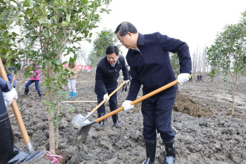 把绿色种在春天里,常熟将添一批公园