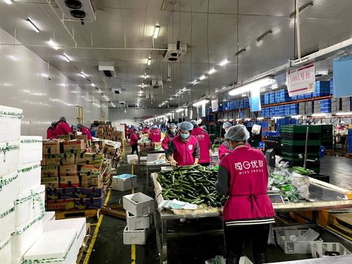 生鲜电商的价值正在被疫情重置