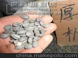 厚朴种子种苗供应商,价格,厚朴种子种苗批发市场 