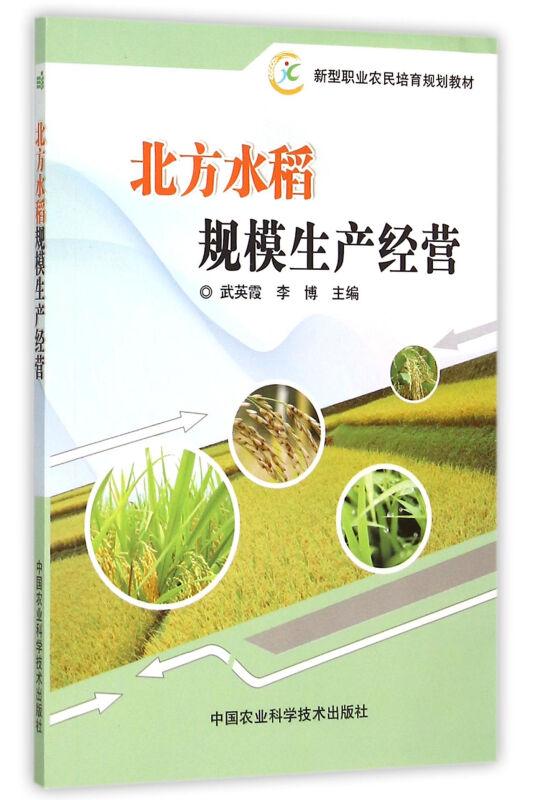 北方水稻规模生产经营