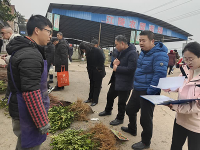 江陵镇:开展种子苗木市场专项检查