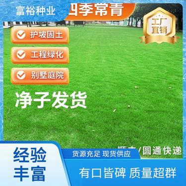 销售苗木一定要办林木种子生产许可证吗?