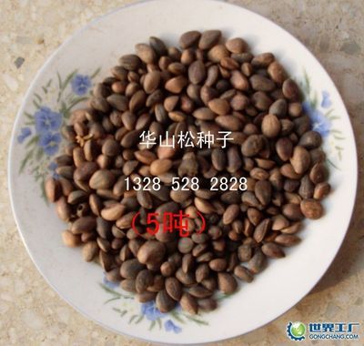 山西省关帝林局绿化开发_世界工厂网全球企业库
