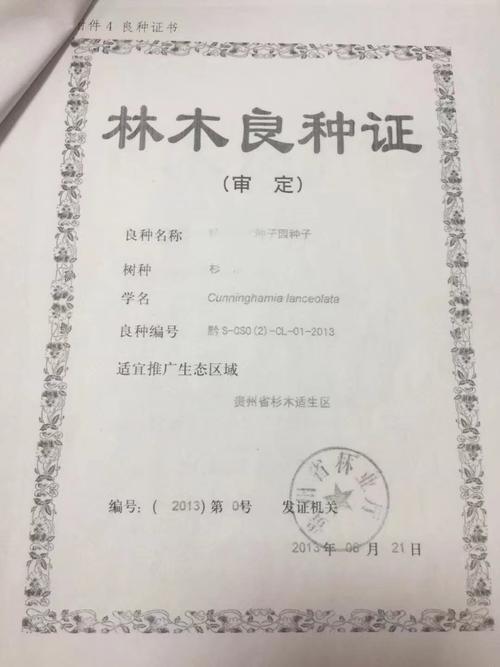林木种子生产,经营许可证审核