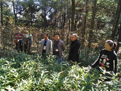 贵阳市林业局开展2020年林木种子生产经营许可“双随机一公开”检查