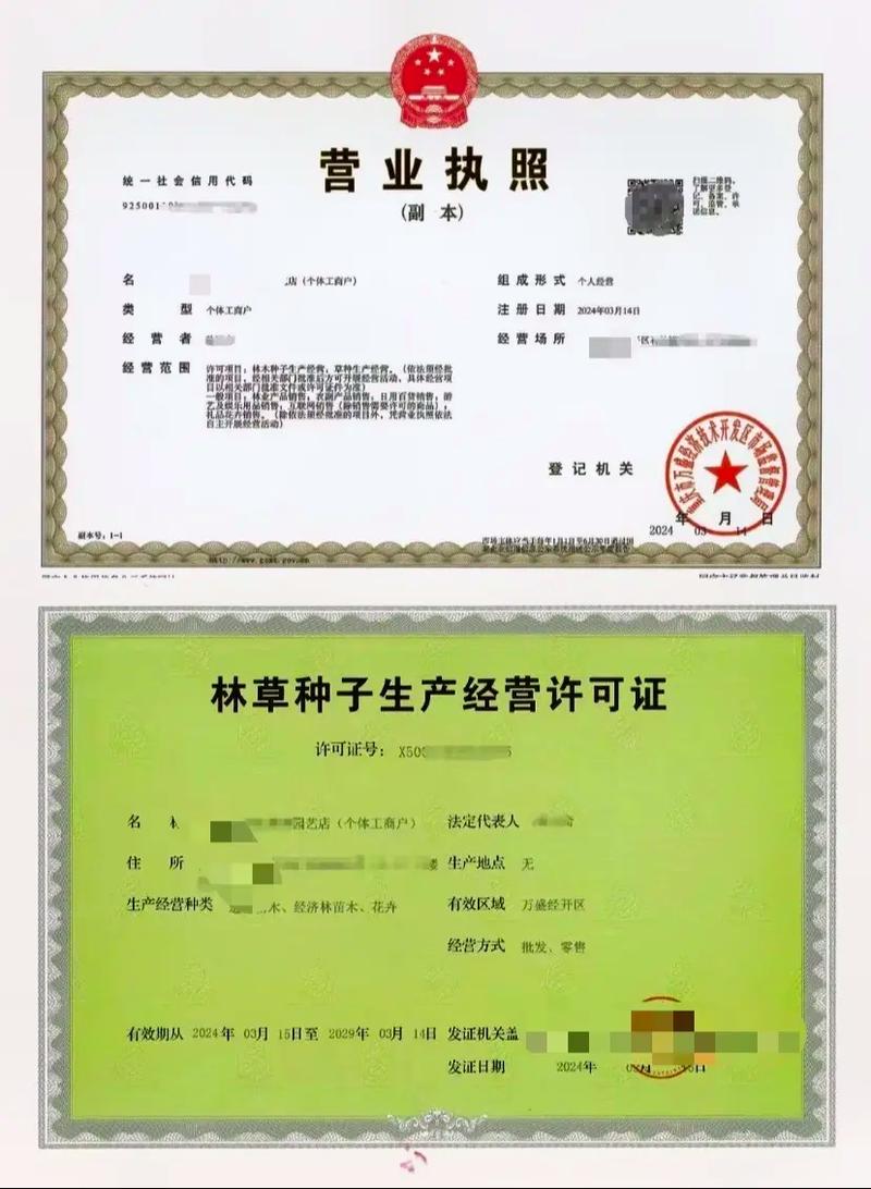林草种子生产经营许可证办理.平台上销售林木树苗,蔬菜种子,农