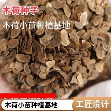 全面解析苗木与农作物栽培相关许可证及服务