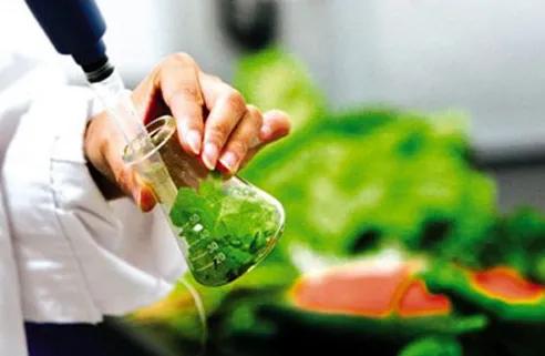 食品检测样品前处理与农作物栽培服务的优化策略